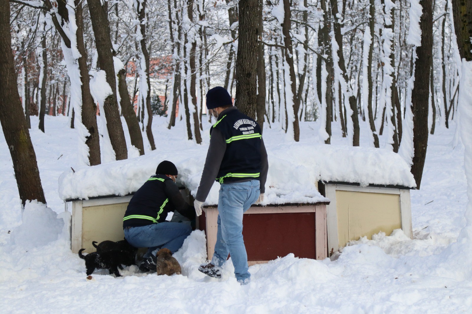 Ekipler Zorlu Kışta Onları Yalnız Bırakmıyor